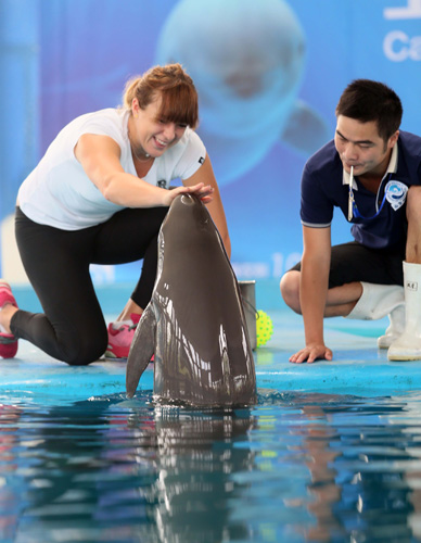 潜力球员 潜力球员